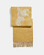 COACH®,REXY AND CARRIAGE CASHMERE SCARF,cashmere,Maize Heather Grey,Front View