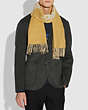 COACH®,REXY AND CARRIAGE CASHMERE SCARF,cashmere,Maize Heather Grey,Angle View