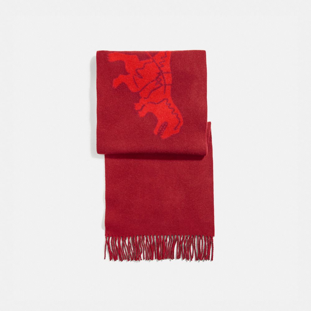 COACH®,REXY AND CARRIAGE CASHMERE SCARF,cashmere,Crimson Red Orange,Front View image number 0