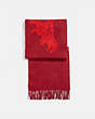 Rexy And Carriage Cashmere Scarf