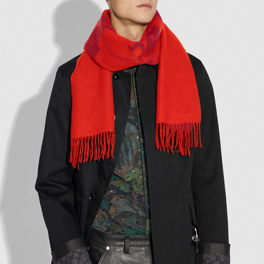 Écharpe en cachemire avec motif Rexy et calèche