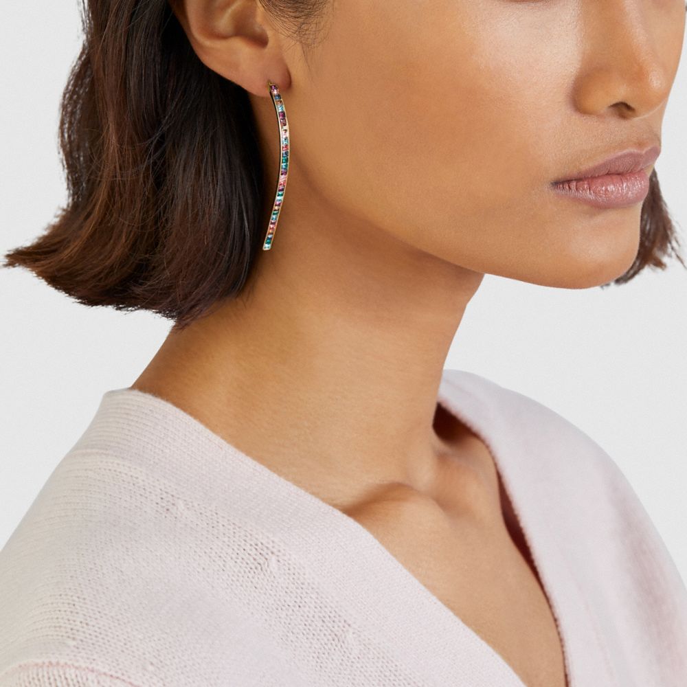 Coach rainbow online earrings