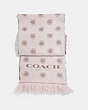 COACH®,TEA ROSE TWILL MUFFLER,Mixed Material,Chalk,Front View