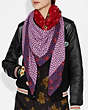 COACH®,DISNEY X COACH POISON APPLE PATCHWORK SCARF,Modal Blend,Red.,Angle View