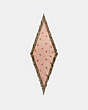 COACH®,RABBIT MIXED PRINT DIAMOND SCARF,Silk,Nude Pink,Front View