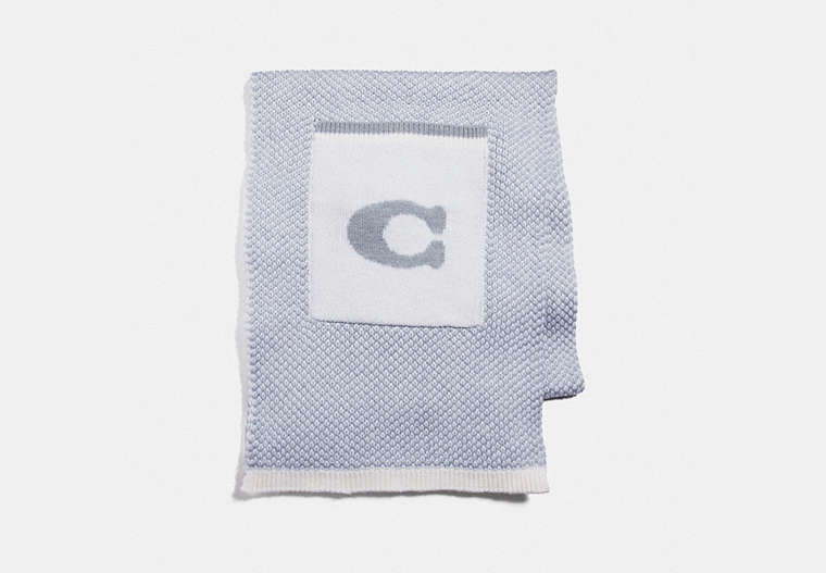COACH®,CHEVRON KNIT SCARF WITH POCKETS,wool,Chalk/Light Grey,Front View