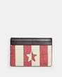 Card Case With Stripe Star Print