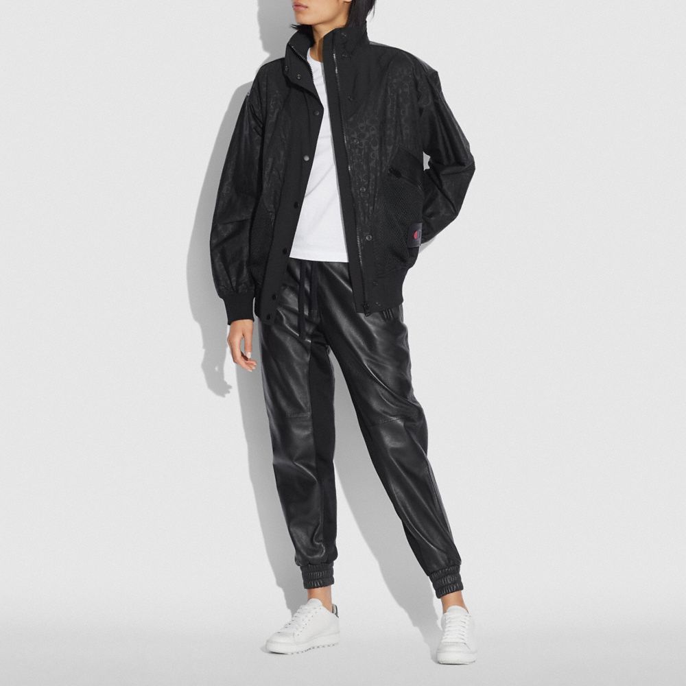 Noir,Vue à l'échelle