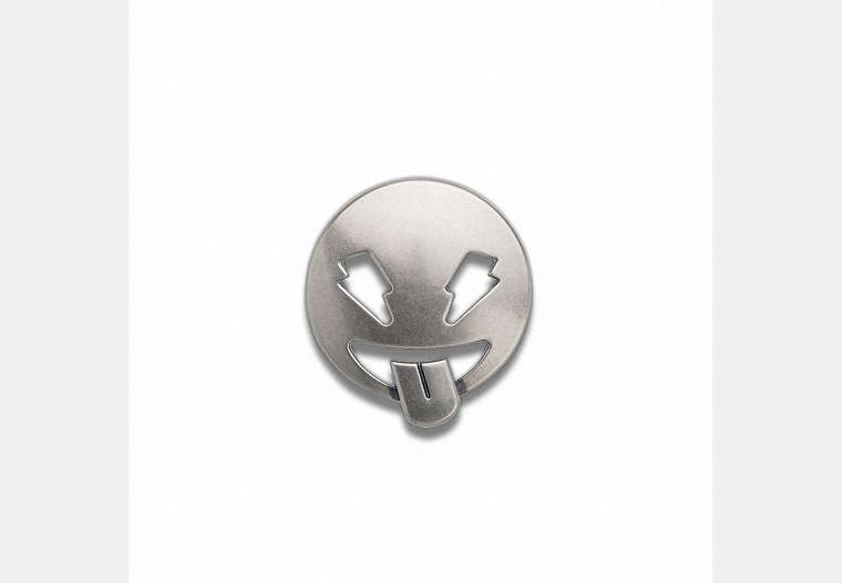 COACH®,CHEEKY PIN,Metal,Multi,Front View