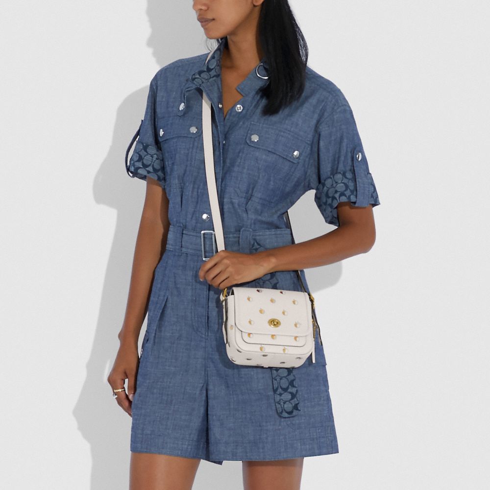 Rambler Crossbody 16 With Apple Print