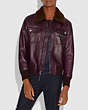 COACH®,BOMBER WITH SHEARLING COLLAR,Leather,Burgundy Brown,Scale View