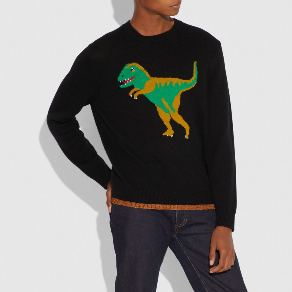 Coach rexy hot sale sweatshirt