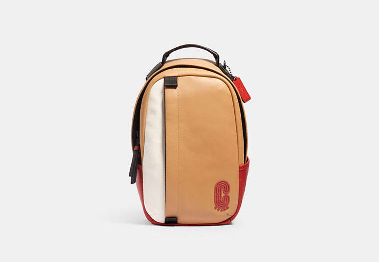 Edge Pack In Colorblock With Coach Patch