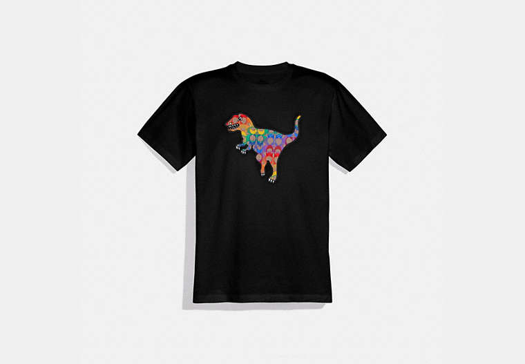 COACH®,RAINBOW SIGNATURE REXY T-SHIRT,cotton,Black,Front View image number 0