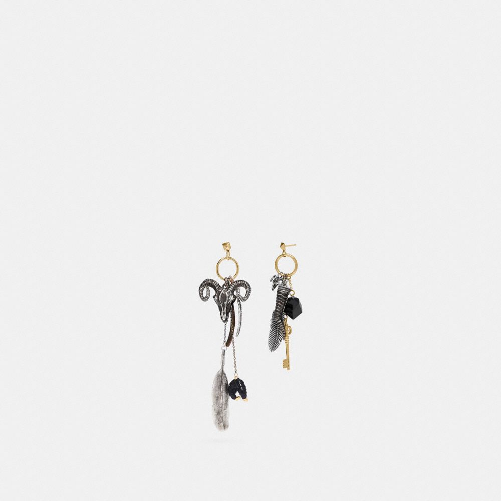 Found Objects Western Charm Earrings