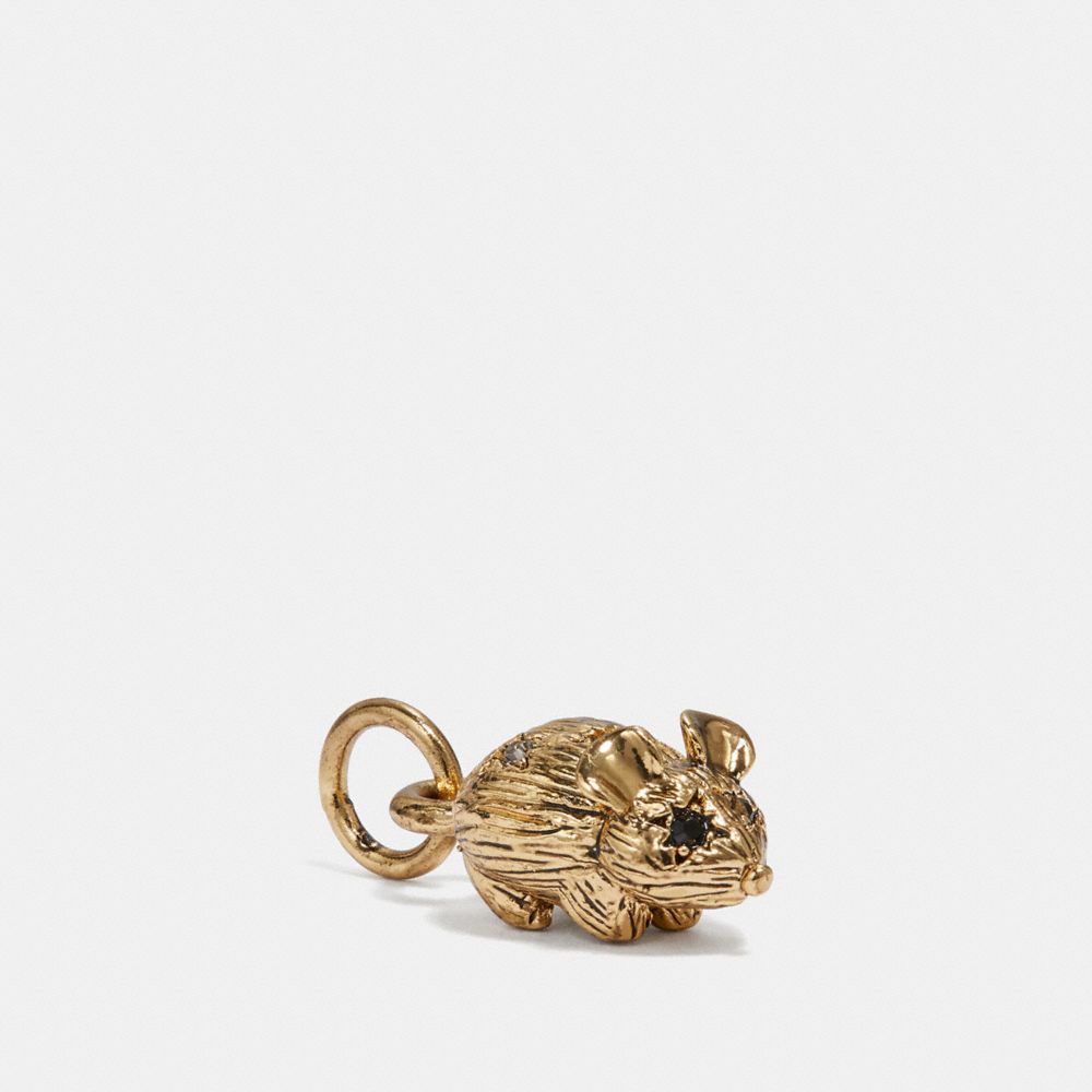 Mouse Charm