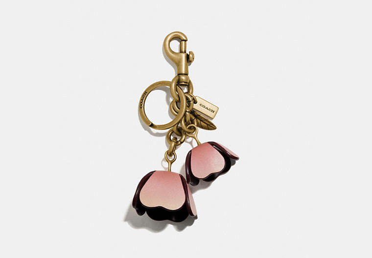 COACH®,OMBRE TEA ROSE BAG CHARM,Leather,Brass/PINK/MULTICOLOR,Front View