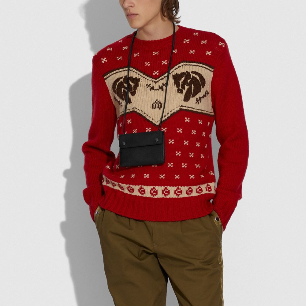 Portefeuille De Voyage à Bandoulière