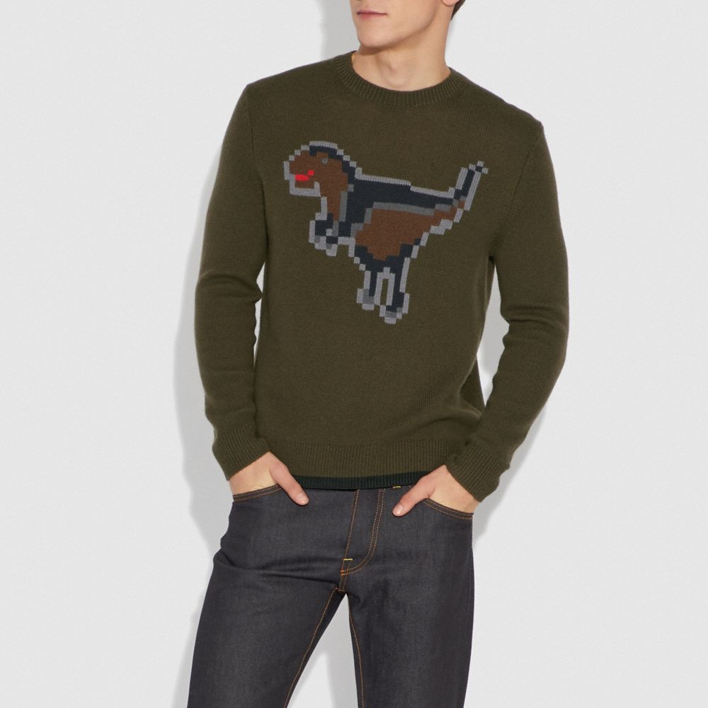 COACH®,PIXEL REXY INTARSIA SWEATER,n/a,Olive,Scale View