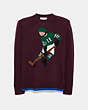 Hockey Intarsia Sweater