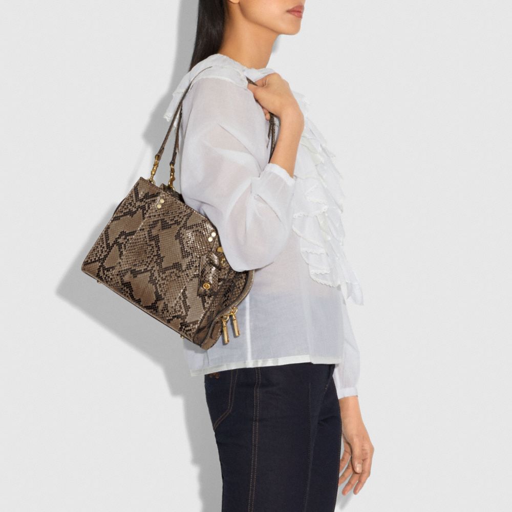 Rogue Bag 25 In Snakeksin