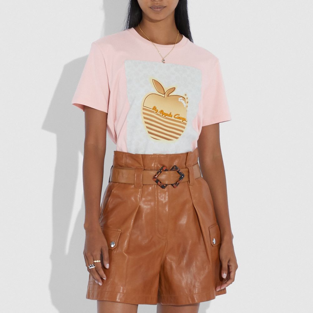 Apple Graphic Camp T Shirt