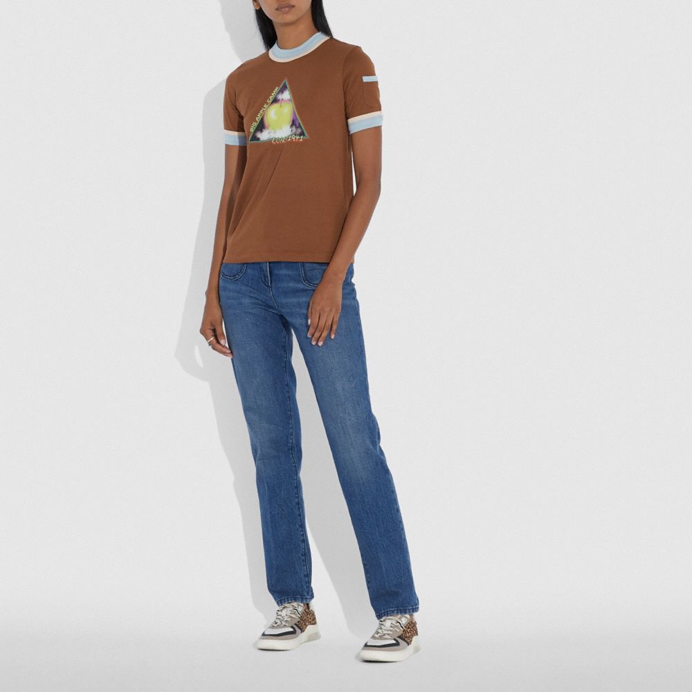 Marrón Vintage,Vista de escala