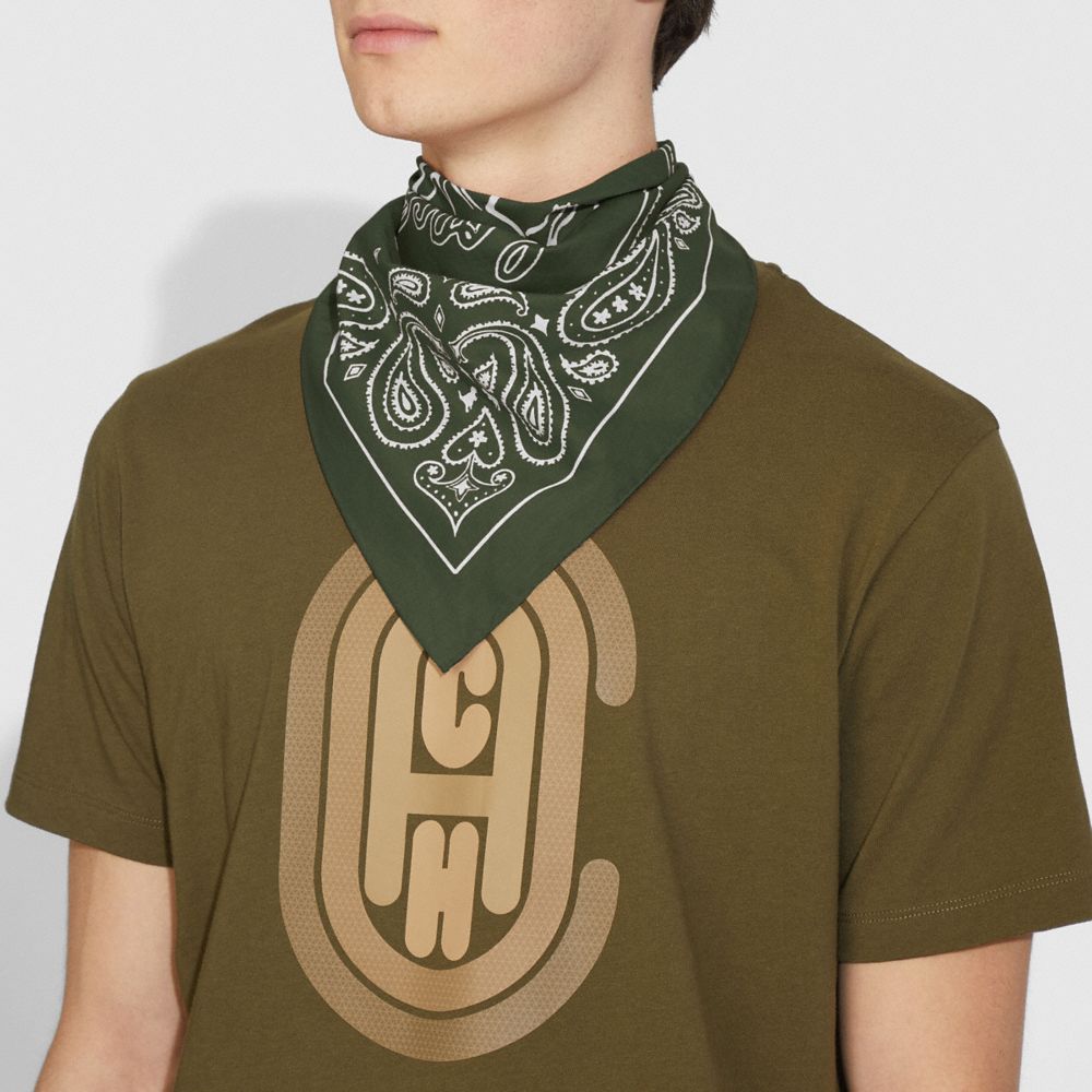 Rexy Verde/Gesso,Vista angolare