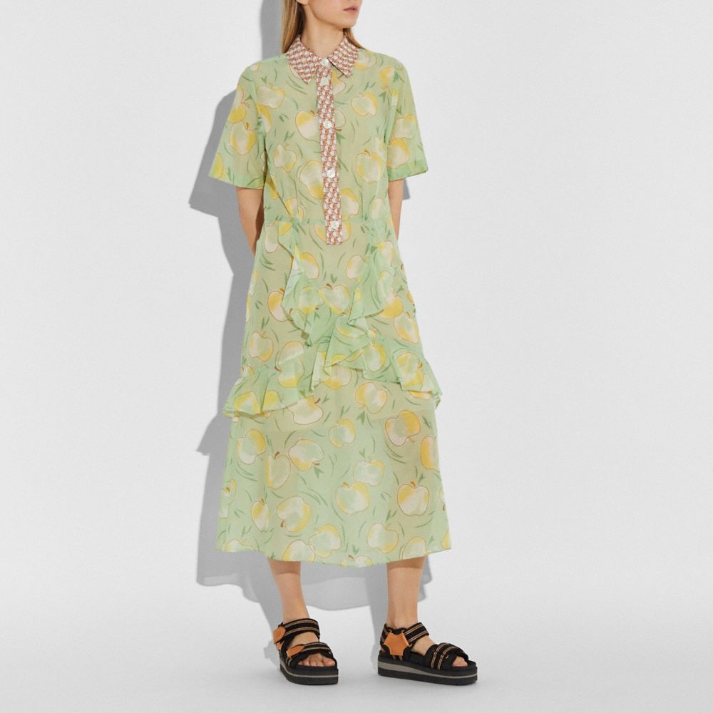 COACH®,APPLE PRINT LONG RUFFLE SHIRT DRESS,cotton,Mint/Yellow,Scale View