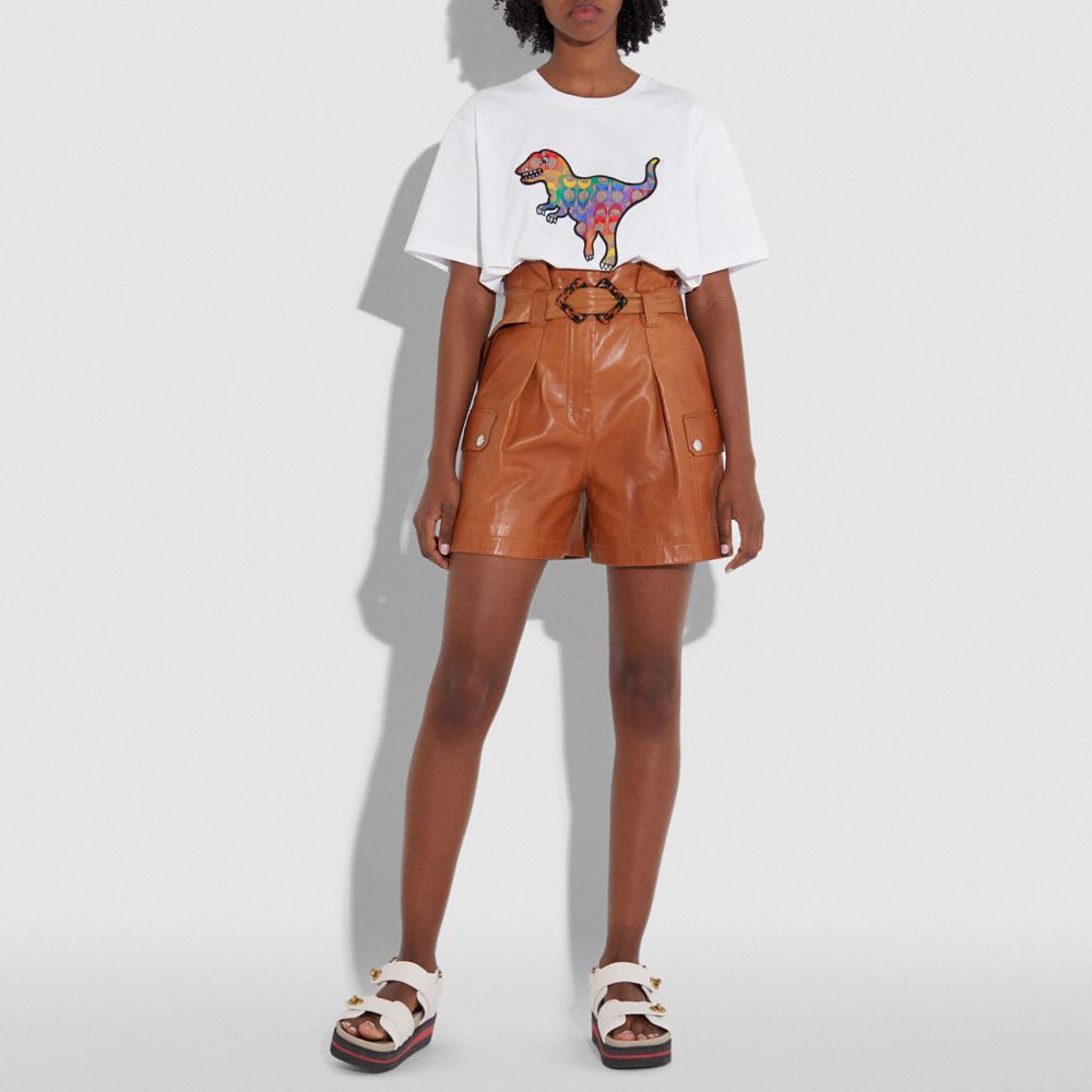 COACH Rainbow Signature Rexy T Shirt