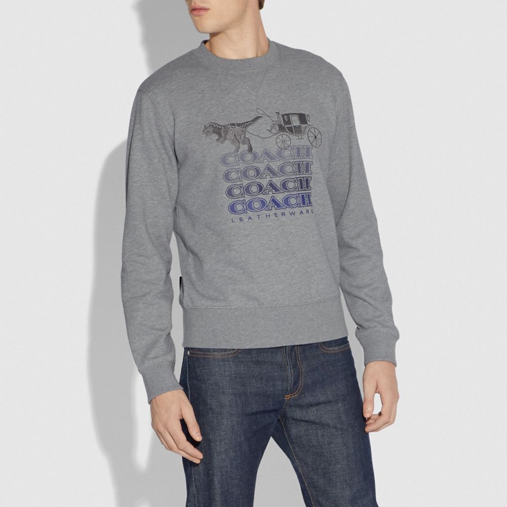 COACH®,SHADOW REXY AND CARRIAGE SWEATSHIRT,n/a,HEATHER GREY,Scale View