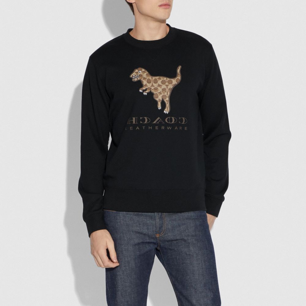 Sticker Rexy Sweatshirt