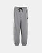 COACH®,TRACK PANTS,n/a,HEATHER GREY,Front View