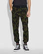 COACH®,TRACK PANTS,n/a,Wild Beast Floral,Scale View