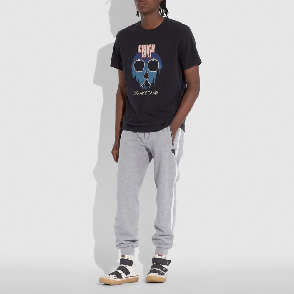 Big Apple Camp T Shirt