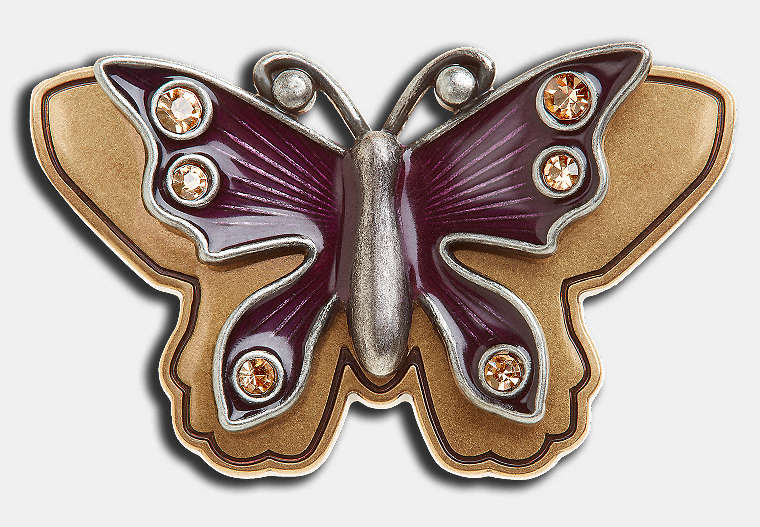 COACH®,BUTTERFLY SOUVEINIR PIN,Metal,Multi,Front View