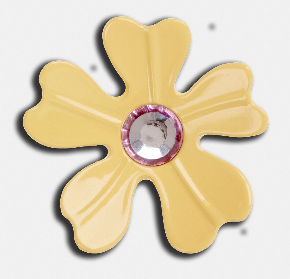 Vintage Daisy Souvenir Pin