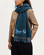 COACH®,HORSE AND CARRIAGE DOUBLE FACE OVERSIZED MUFFLER,wool,Denim/Light Mist,Detail View
