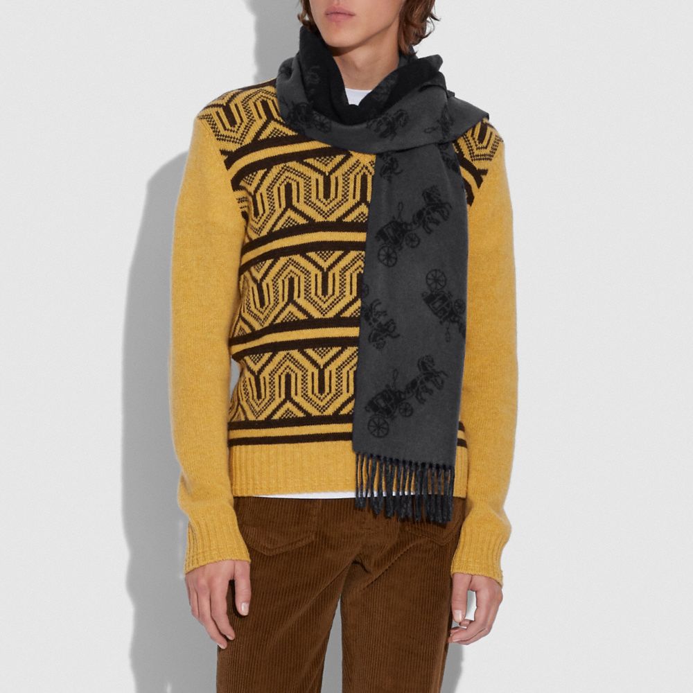 COACH®,Cashmere Horse And Carriage Scarf & Tech Napa Gloves,