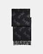 COACH®,CASHMERE HORSE AND CARRIAGE SCARF,cashmere,BLACK/GREY,Front View