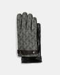 COACH®,HORSE AND CARRIAGE TECH NAPPA GLOVES,Leather,GREY,Front View