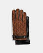 Horse And Carriage Tech Nappa Gloves