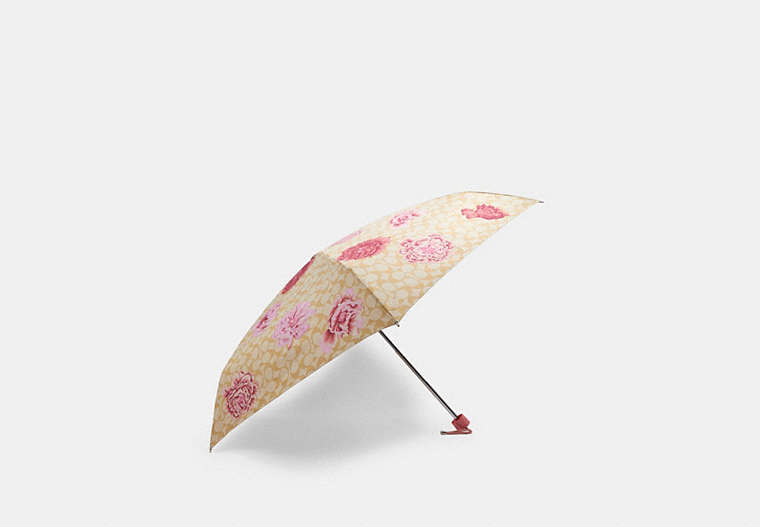 Mini Umbrella In Signature Kaffe Fassett Print