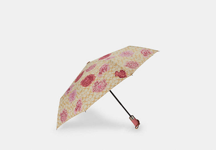 Umbrella In Signature Kaffe Fassett Print