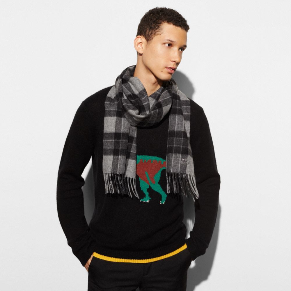 Varsity Check Plaid Scarf