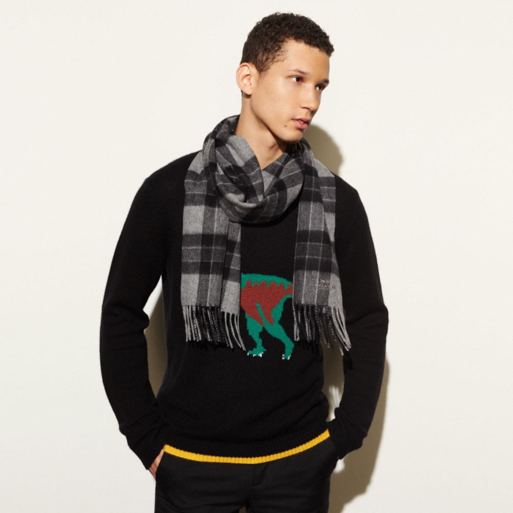 Varsity Check Plaid Scarf