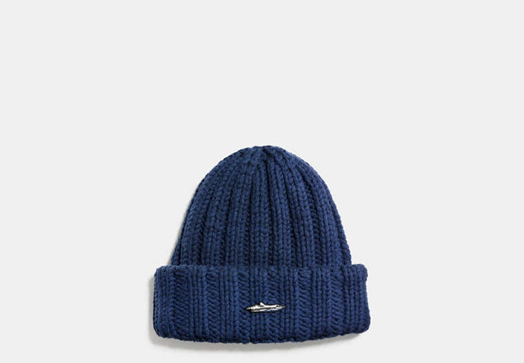 Ribbed Chunky Hat