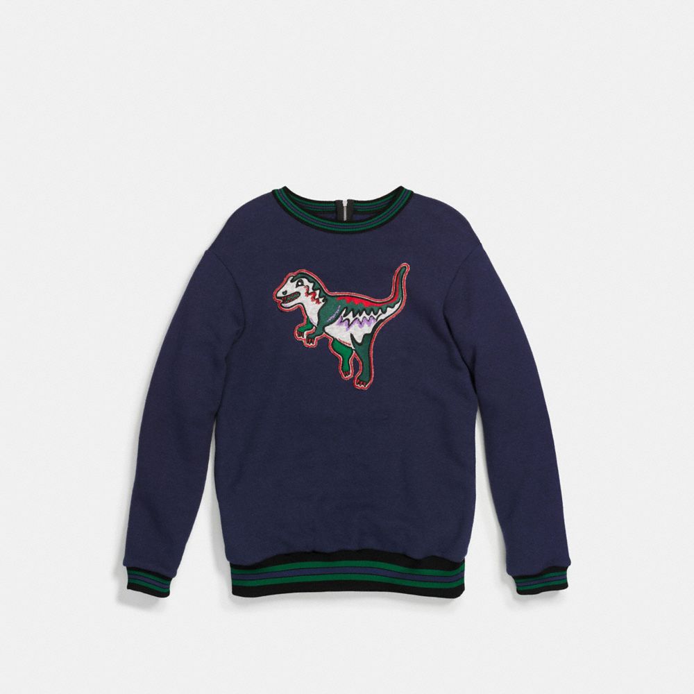 Coach store dinosaur sweatshirt