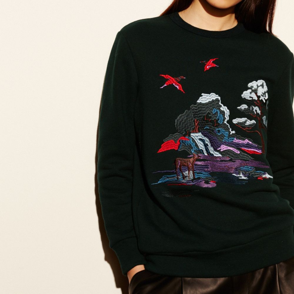 Embroidered Souvenir Sky Sweatshirt