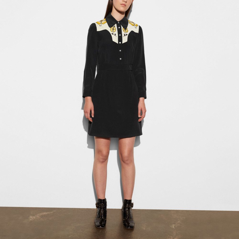 Everyday Western Dress